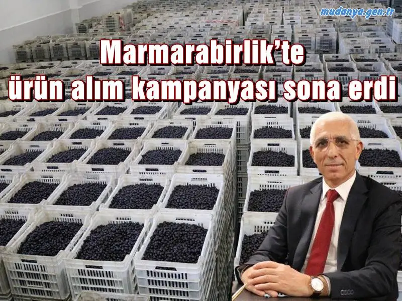 Marmarabirlik’te 2023/2024 iş yılı ürün alım kampanyası sona erdi. Üretici ortaklardan 2 milyar 823 milyon tutarından ürün alımı gerçekleştirdiklerini belirten Yönetim Kurulu Başkanı Hidamet Asa, “Ürün alım tutarı olarak tarihe geçecek bir kampanya oldu” dedi.