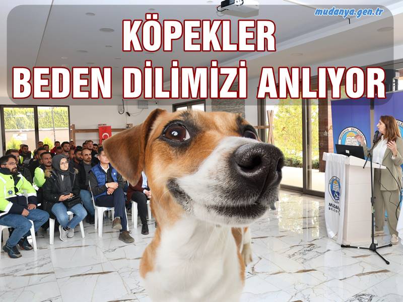 KÖPEKLER BEDEN DİLİMİZİ ANLIYOR