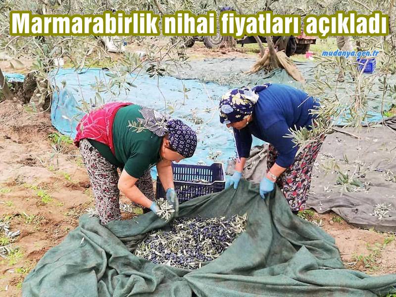 Marmarabirlik nihai fiyatları açıkladı